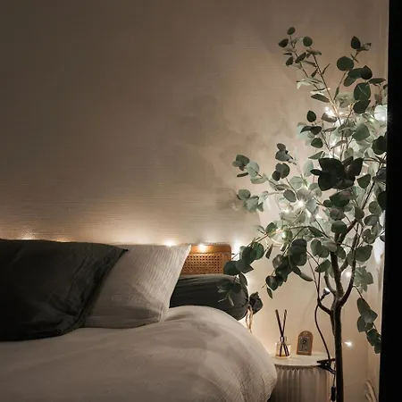 Le Nid Parisien Apartment *